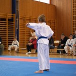 Karate Vereinsmeisterschaft