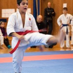 Karate Vereinsmeisterschaft