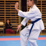 Karate Vereinsmeisterschaft