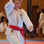 Karate Vereinsmeisterschaft