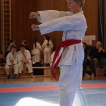 Karate Vereinsmeisterschaft