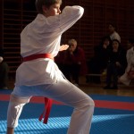 Karate Vereinsmeisterschaft