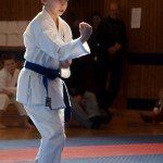 Karate Vereinsmeisterschaft