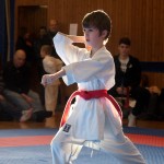 Karate Vereinsmeisterschaft