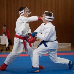 Karate Vereinsmeisterschaft