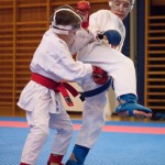 Karate Vereinsmeisterschaft