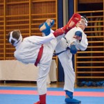 Karate Vereinsmeisterschaft