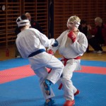 Karate Vereinsmeisterschaft