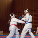 Karate Vereinsmeisterschaft