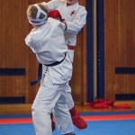 Karate Vereinsmeisterschaft