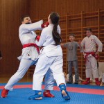 Karate Vereinsmeisterschaft