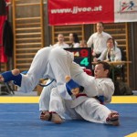 Jiu Jitsu Neulingsmeisterschaft 2014