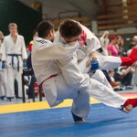 Jiu Jitsu Neulingsmeisterschaft 2014