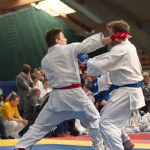 Jiu Jitsu Neulingsmeisterschaft 2014