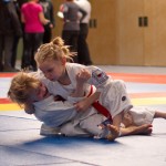 Jiu Jitsu Neulingsmeisterschaft 2014