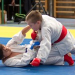 Jiu Jitsu Neulingsmeisterschaft 2014