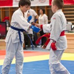 Jiu Jitsu Neulingsmeisterschaft 2014