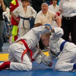 Jiu Jitsu Neulingsmeisterschaft 2014