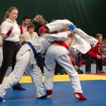 Jiu Jitsu Neulingsmeisterschaft 2014