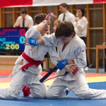 Jiu Jitsu Neulingsmeisterschaft 2014