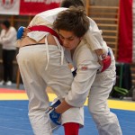 Jiu Jitsu Neulingsmeisterschaft 2014