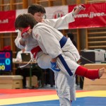 Jiu Jitsu Neulingsmeisterschaft 2014