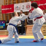 Jiu Jitsu Neulingsmeisterschaft 2014