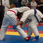 Jiu Jitsu Neulingsmeisterschaft 2014