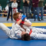 Jiu Jitsu Neulingsmeisterschaft 2014