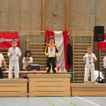 Jiu Jitsu Neulingsmeisterschaft 2014