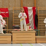 Jiu Jitsu Neulingsmeisterschaft 2014