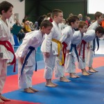 ASKÖ Wiener Karate Landesmeisterschaft 2014