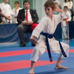 ASKÖ Wiener Karate Landesmeisterschaft 2014