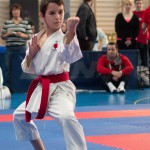 ASKÖ Wiener Karate Landesmeisterschaft 2014