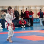 ASKÖ Wiener Karate Landesmeisterschaft 2014