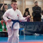 ASKÖ Wiener Karate Landesmeisterschaft 2014