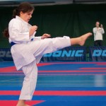 ASKÖ Wiener Karate Landesmeisterschaft 2014