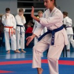 ASKÖ Wiener Karate Landesmeisterschaft 2014