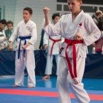 ASKÖ Wiener Karate Landesmeisterschaft 2014