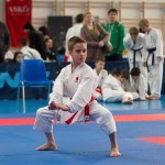 ASKÖ Wiener Karate Landesmeisterschaft 2014