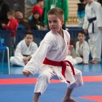 ASKÖ Wiener Karate Landesmeisterschaft 2014