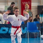 ASKÖ Wiener Karate Landesmeisterschaft 2014