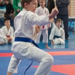 ASKÖ Wiener Karate Landesmeisterschaft 2014