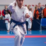 ASKÖ Wiener Karate Landesmeisterschaft 2014