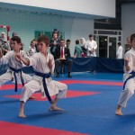 ASKÖ Wiener Karate Landesmeisterschaft 2014