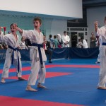 ASKÖ Wiener Karate Landesmeisterschaft 2014