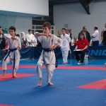 ASKÖ Wiener Karate Landesmeisterschaft 2014