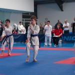 ASKÖ Wiener Karate Landesmeisterschaft 2014