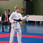 ASKÖ Wiener Karate Landesmeisterschaft 2014