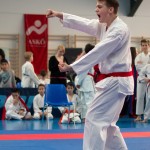 ASKÖ Wiener Karate Landesmeisterschaft 2014